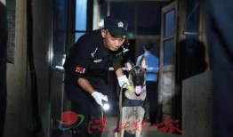 刑警爆料打架视频大全,打架视频大全背后的真实故事